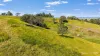 595 Pines Road, Edenville, NSW 2474-Image
