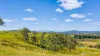 595 Pines Road, Edenville, NSW 2474-Image
