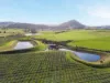 596 Colebrook Road, Campania, Tas 7026-Image
