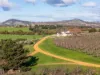 596 Colebrook Road, Campania, Tas 7026-Image