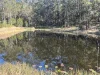 6 Conrangula Road, Corangula, NSW 2440-Image