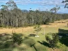 6 Conrangula Road, Corangula, NSW 2440-Image
