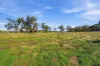 6 Rosamel Lane, Manildra NSW 2865-Image