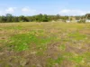 6 Rosamel Lane, Manildra NSW 2865-Image