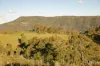 60 Blue Bonnet Road, Lambs Valley, NSW 2335-Image