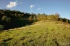 60 Blue Bonnet Road, Lambs Valley, NSW 2335-Image