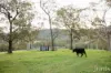 60 Blue Bonnet Road, Lambs Valley, NSW 2335-Image
