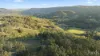 60 Blue Bonnet Road, Lambs Valley, NSW 2335-Image