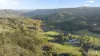 60 Blue Bonnet Road, Lambs Valley, NSW 2335-Image