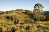 60 Blue Bonnet Road, Lambs Valley, NSW 2335-Image