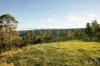 60 Blue Bonnet Road, Lambs Valley, NSW 2335-Image