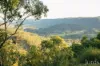 60 Blue Bonnet Road, Lambs Valley, NSW 2335-Image