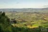60 Blue Bonnet Road, Lambs Valley, NSW 2335-Image