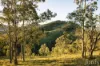 60 Blue Bonnet Road, Lambs Valley, NSW 2335-Image