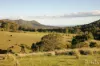 60 Blue Bonnet Road, Lambs Valley, NSW 2335-Image