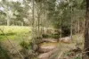 60 Blue Bonnet Road, Lambs Valley, NSW 2335-Image
