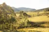 60 Blue Bonnet Road, Lambs Valley, NSW 2335-Image