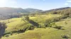 60 Blue Bonnet Road, Lambs Valley, NSW 2335-Image