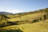 60 Blue Bonnet Road, Lambs Valley, NSW 2335-Image