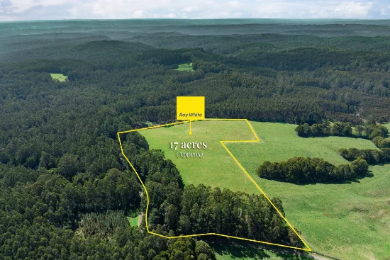 60 Harveys Track, Beech Forest VIC 3237-Image