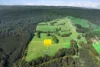 60 Harveys Track, Beech Forest VIC 3237-Image