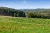 60 Harveys Track, Beech Forest VIC 3237-Image