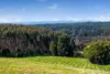 60 Harveys Track, Beech Forest VIC 3237-Image