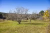 60 Sandy Knob Road, Elands NSW 2429-Image