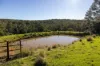60 Sandy Knob Road, Elands NSW 2429-Image