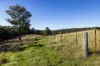 60 Sandy Knob Road, Elands NSW 2429-Image
