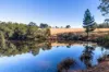 60 Sandy Knob Road, Elands NSW 2429-Image