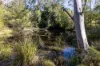 60 Sandy Knob Road, Elands NSW 2429-Image