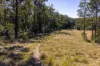 60 Sandy Knob Road, Elands NSW 2429-Image