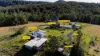 60 Sandy Knob Road, Elands NSW 2429-Image