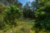 60 Vise Road, Forest Glen QLD 4556-Image
