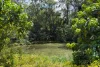60 Vise Road, Forest Glen QLD 4556-Image