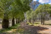 601 Daruka Road, Tamworth, NSW 2340-Image