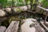 603 Lovedale Road, Lovedale, NSW 2325-Image