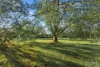 603 Lovedale Road, Lovedale, NSW 2325-Image