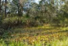 603 Lovedale Road, Lovedale, NSW 2325-Image