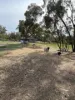 6075  Great Southern Highway, Gilgering, WA 6302-Image