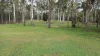 61-65 Meadow Road, Jimboomba, Qld 4280-Image
