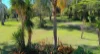 61-65 Meadow Road, Jimboomba, Qld 4280-Image