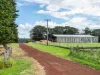 61 Tabor Siding Road, Tabor, Vic 3289-Image