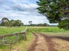 61 Tabor Siding Road, Tabor, Vic 3289-Image