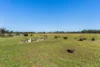 613 Old Euroa Road, Balmattum VIC 3666-Image