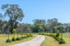 613 Old Euroa Road, Balmattum VIC 3666-Image