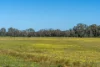 613 Old Euroa Road, Balmattum VIC 3666-Image