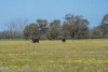 613 Old Euroa Road, Balmattum VIC 3666-Image