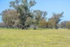 613 Old Euroa Road, Balmattum VIC 3666-Image